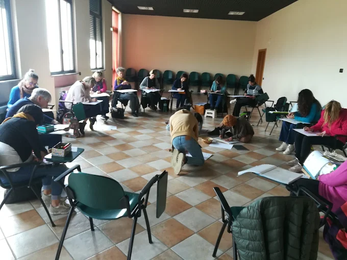 Galleria immagine 114